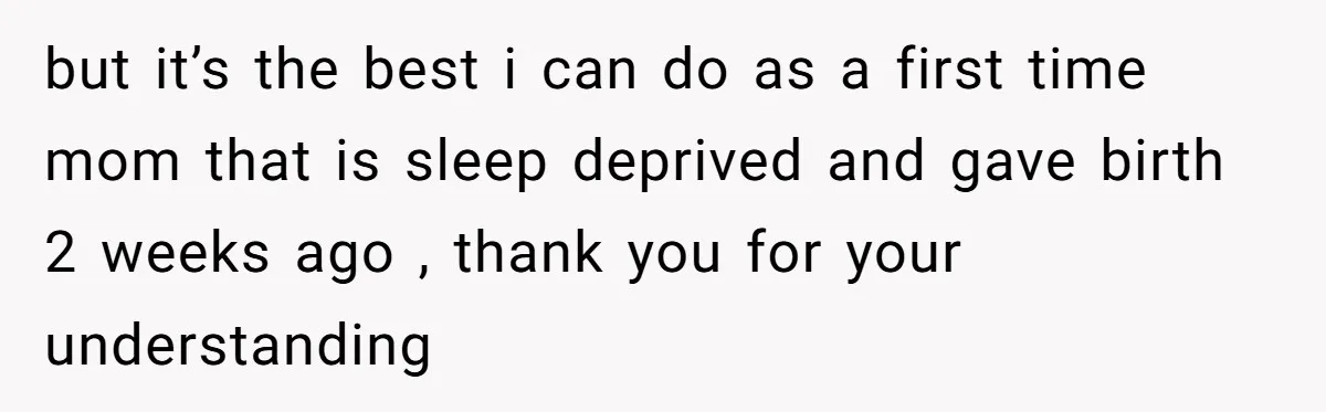 but it’s the best i can do as a first time mom that is sleep deprived and gave birth 2 weeks ago , thank you for your understanding
