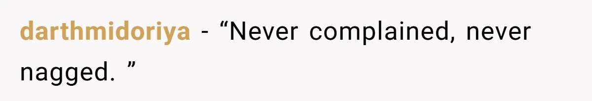 darthmidoriya − “Never complained, never nagged. ”