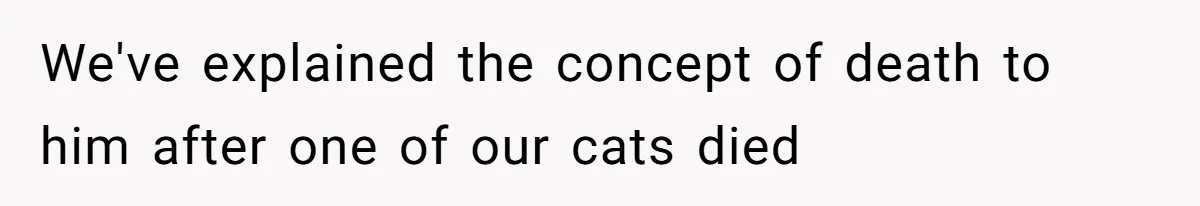 We've explained the concept of death to him after one of our cats died
