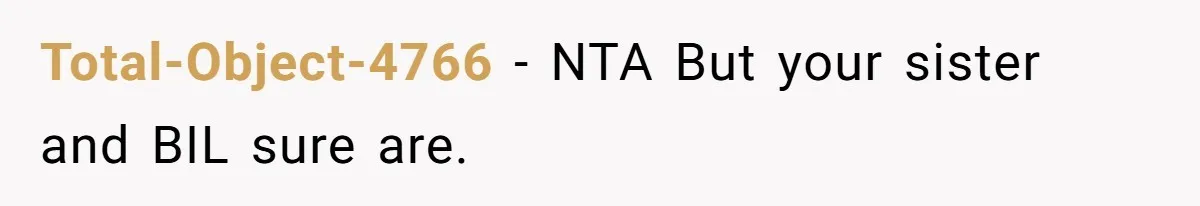 Total-Object-4766 − NTA But your sister and BIL sure are.