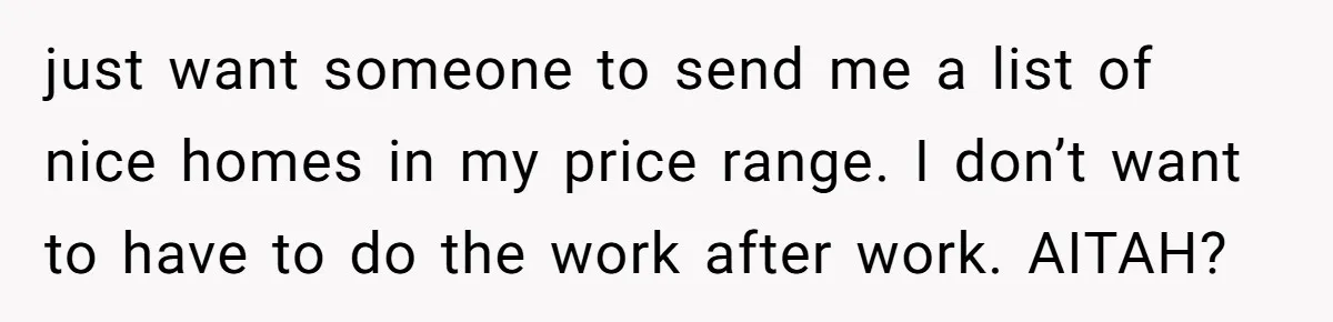 just want someone to send me a list of nice homes in my price range. I don’t want to have to do the work after work. AITAH?