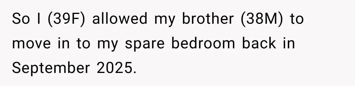 So I (39F) allowed my brother (38M) to move in to my spare bedroom back in September 2025.