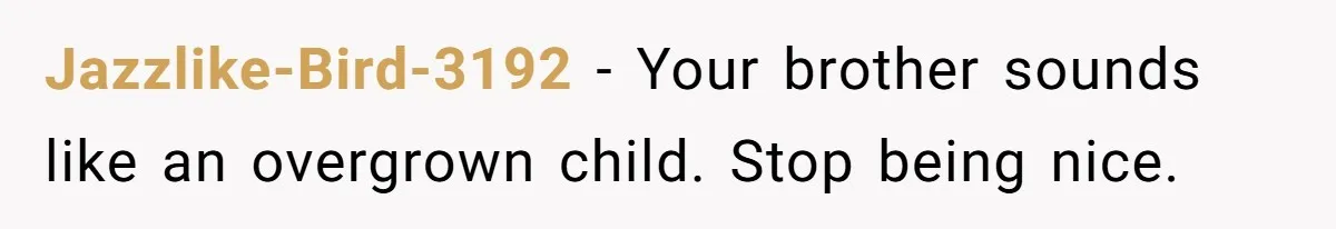 Jazzlike-Bird-3192 − Your brother sounds like an overgrown child. Stop being nice.