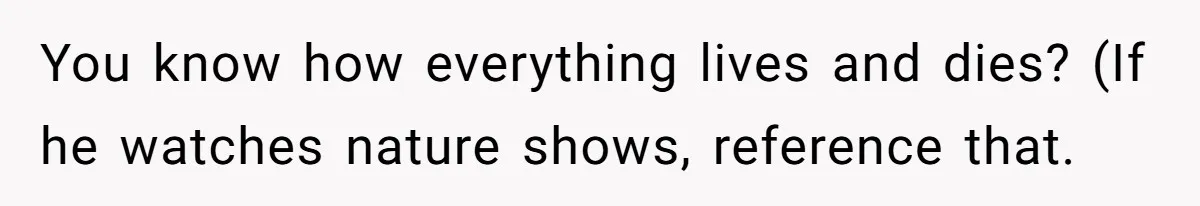 You know how everything lives and dies? (If he watches nature shows, reference that.