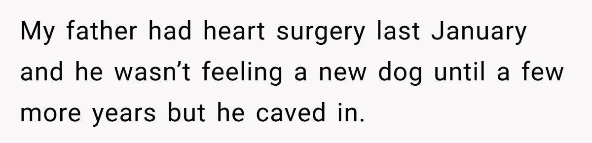 My father had heart surgery last January and he wasn’t feeling a new dog until a few more years but he caved in.