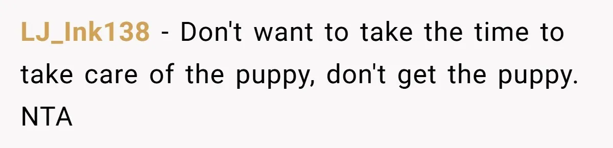 LJ_Ink138 − Don't want to take the time to take care of the puppy, don't get the puppy. NTA