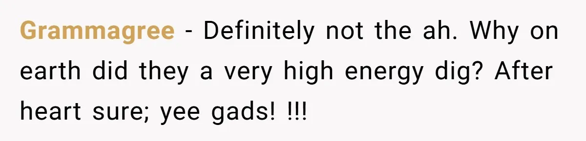 Grammagree − Definitely not the ah. Why on earth did they a very high energy dig? After heart sure; yee gads! !!!