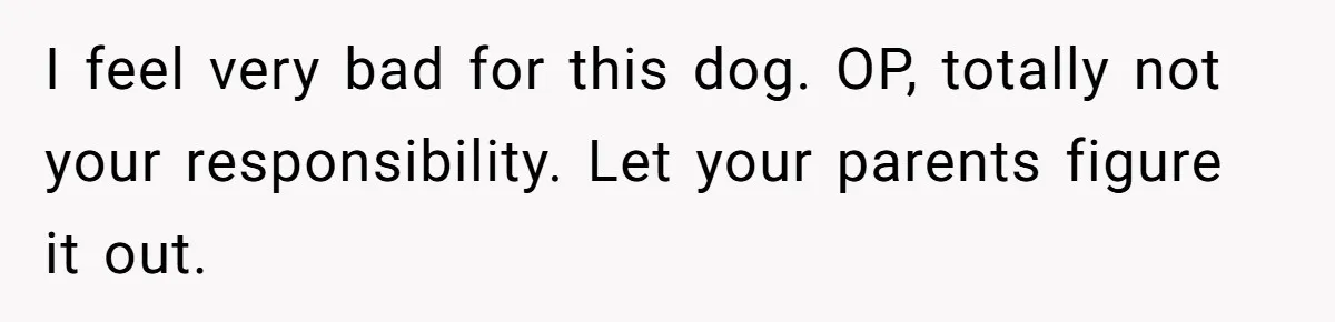 I feel very bad for this dog. OP, totally not your responsibility. Let your parents figure it out.