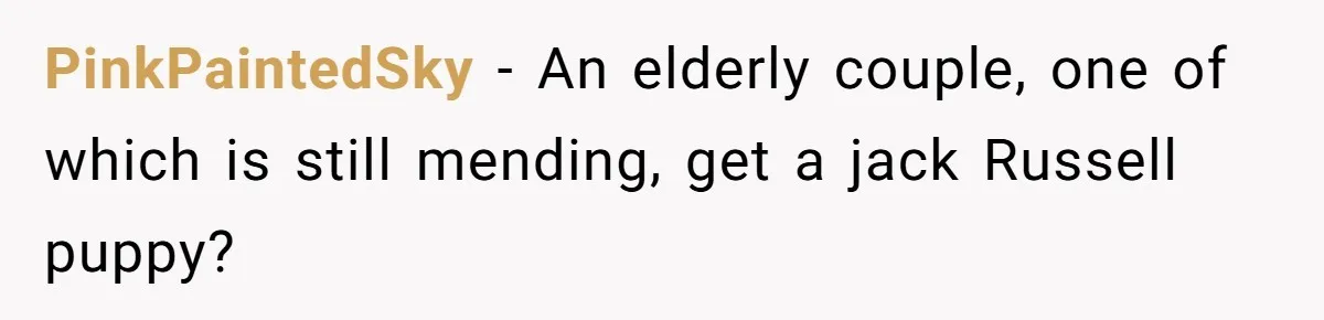 PinkPaintedSky − An elderly couple, one of which is still mending, get a jack Russell puppy?