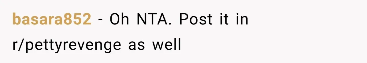 basara852 − Oh NTA. Post it in r/pettyrevenge as well