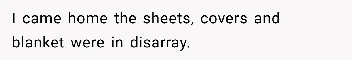 I came home the sheets, covers and blanket were in disarray.