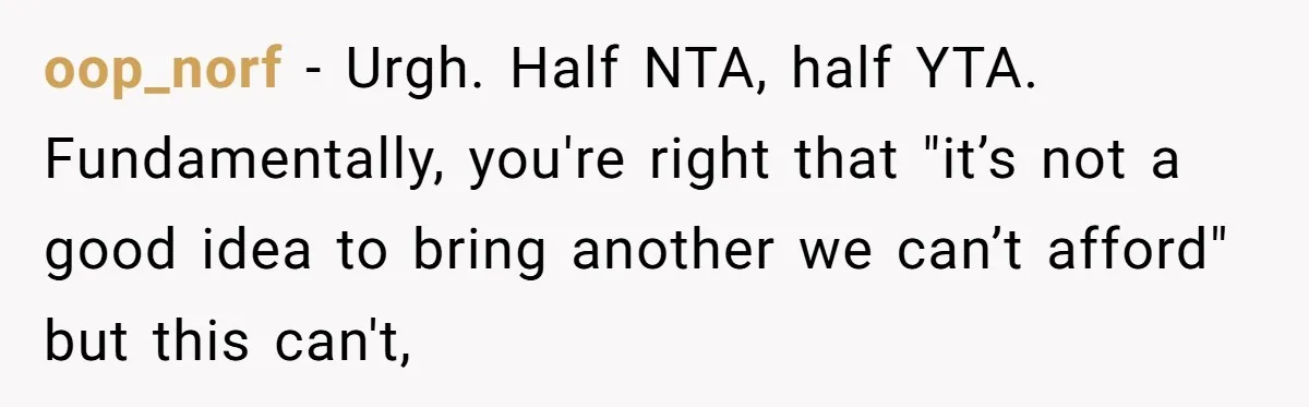 oop_norf − Urgh. Half NTA, half YTA. Fundamentally, you're right that "it’s not a good idea to bring another we can’t afford" but this can't,