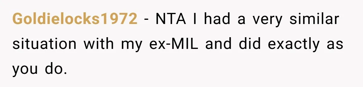 Goldielocks1972 − NTA I had a very similar situation with my ex-MIL and did exactly as you do.
