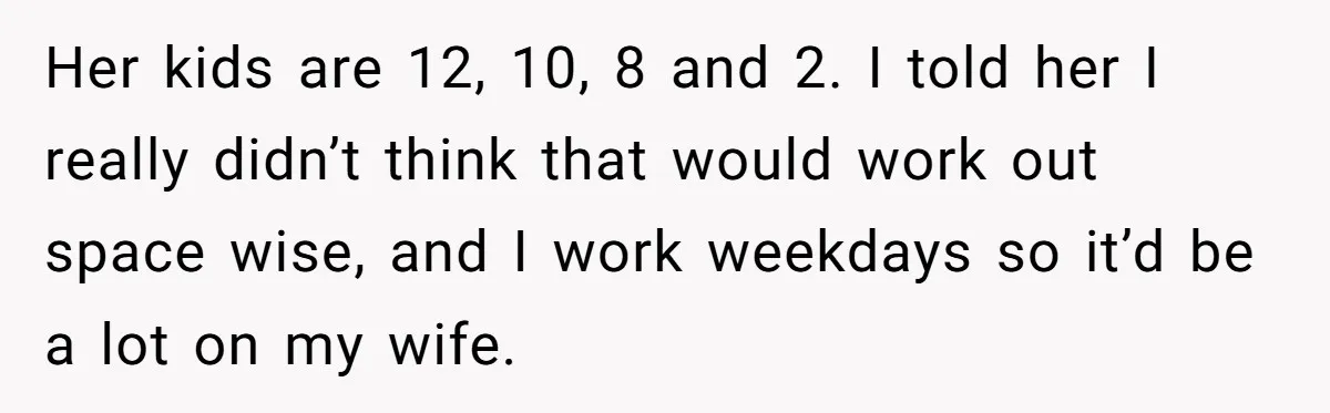 Her kids are 12, 10, 8 and 2. I told her I really didn’t think that would work out space wise, and I work weekdays so it’d be a lot...