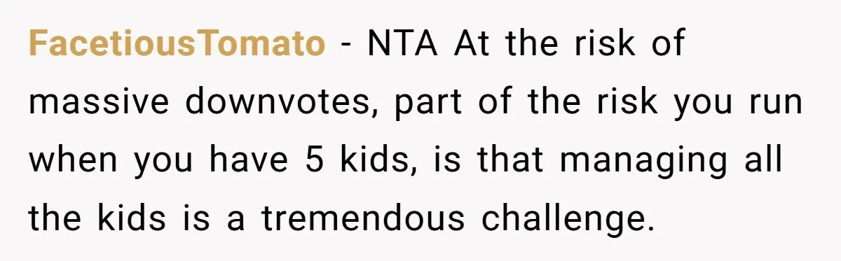 FacetiousTomato − NTA At the risk of massive downvotes, part of the risk you run when you have 5 kids, is that managing all the kids is a tremendous challenge.