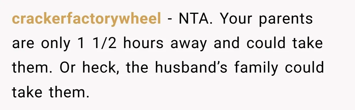 crackerfactorywheel − NTA. Your parents are only 1 1/2 hours away and could take them. Or heck, the husband’s family could take them.