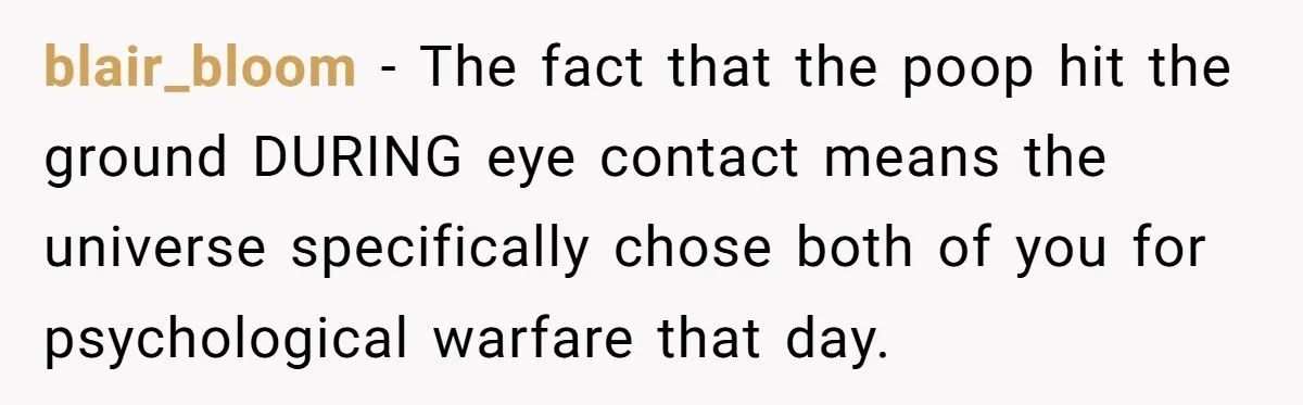 blair_bloom − The fact that the poop hit the ground DURING eye contact means the universe specifically chose both of you for psychological warfare that day.