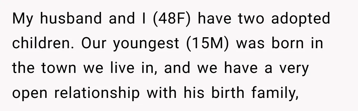 A Woman Wanted to Help Her Son’s Birth Mother, but the Constant Requests for Money Started Changing Everything My husband and I (48F) have two adopted children. Our youngest (15M) was born in the town we live in, and we have a very open relationship with his birth...