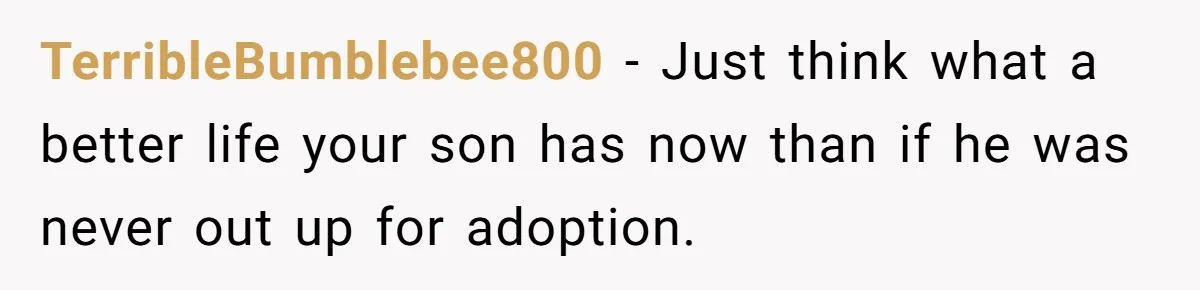 A Woman Wanted to Help Her Son’s Birth Mother, but the Constant Requests for Money Started Changing Everything TerribleBumblebee800 − Just think what a better life your son has now than if he was never out up for adoption.
