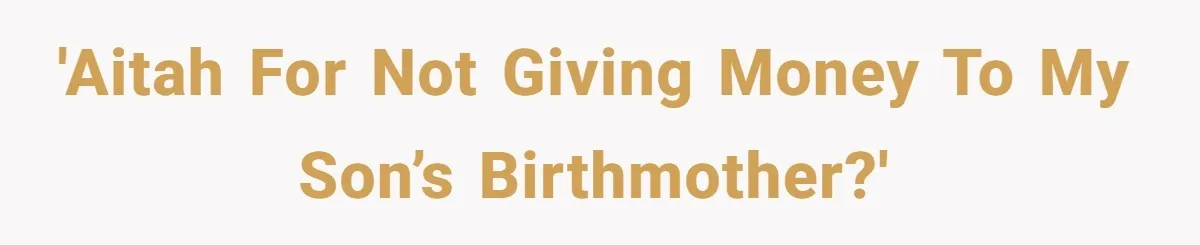 A Woman Wanted to Help Her Son’s Birth Mother, but the Constant Requests for Money Started Changing Everything 'AITAH for not giving money to my son’s birthmother?'