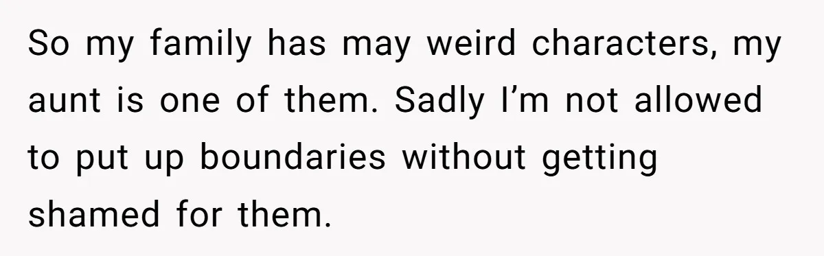 So my family has may weird characters, my aunt is one of them. Sadly I’m not allowed to put up boundaries without getting shamed for them.