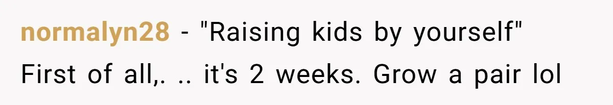 Husband Demands Wife Cancel Her Teaching Trip Abroad, Leaving Him Alone With Three Young Children normalyn28 − "Raising kids by yourself" First of all,. .. it's 2 weeks. Grow a pair lol