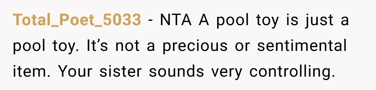 Total_Poet_5033 − NTA A pool toy is just a pool toy. It’s not a precious or sentimental item. Your sister sounds very controlling.