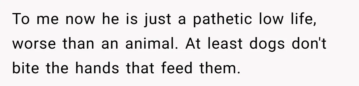 He Told His Mother He Never Wants His Brother at His Future Wedding After Watching Him Neglect Their Sick Grandmother To me now he is just a pathetic low life, worse than an animal. At least dogs don't bite the hands that feed them.