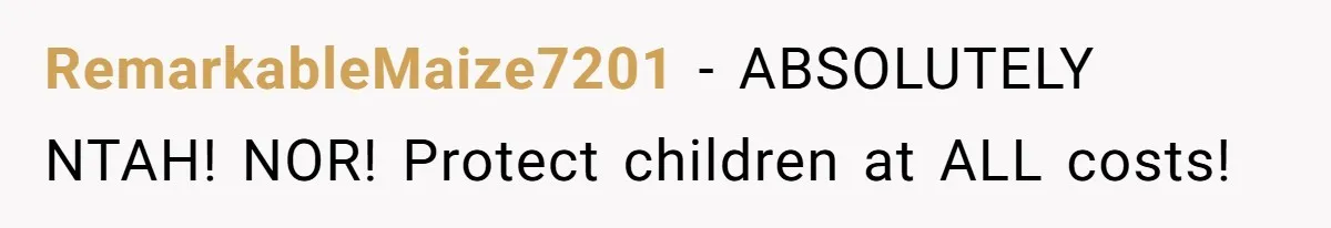 RemarkableMaize7201 − ABSOLUTELY NTAH! NOR! Protect children at ALL costs!