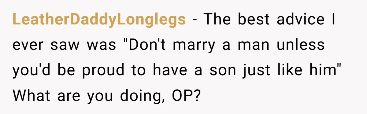 LeatherDaddyLonglegs − The best advice I ever saw was "Don't marry a man unless you'd be proud to have a son just like him" What are you doing, OP?