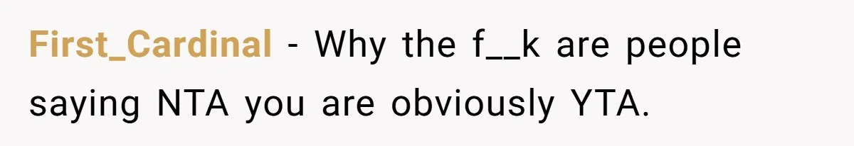 First_Cardinal − Why the f__k are people saying NTA you are obviously YTA.