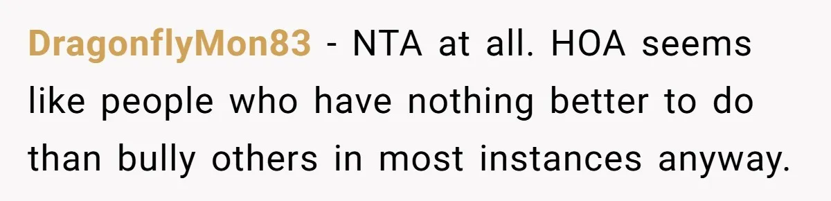 DragonflyMon83 − NTA at all. HOA seems like people who have nothing better to do than bully others in most instances anyway.