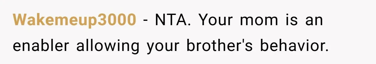 She Refused to Forgive Her Abusive Brother After Her Mother Begged Her to Reconcile, and It Split the Family Further Wakemeup3000 − NTA. Your mom is an enabler allowing your brother's behavior.