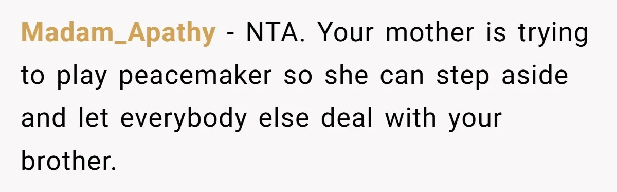 She Refused to Forgive Her Abusive Brother After Her Mother Begged Her to Reconcile, and It Split the Family Further Madam_Apathy − NTA. Your mother is trying to play peacemaker so she can step aside and let everybody else deal with your brother.