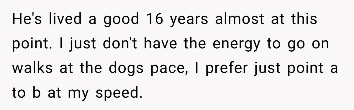 He's lived a good 16 years almost at this point. I just don't have the energy to go on walks at the dogs pace, I prefer just point a to...