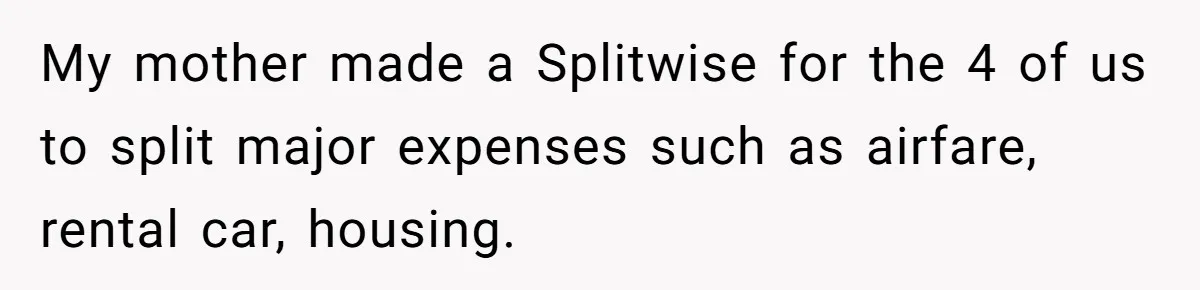 My mother made a Splitwise for the 4 of us to split major expenses such as airfare, rental car, housing.