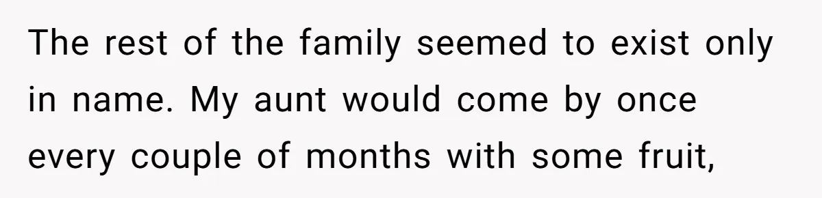 The rest of the family seemed to exist only in name. My aunt would come by once every couple of months with some fruit,