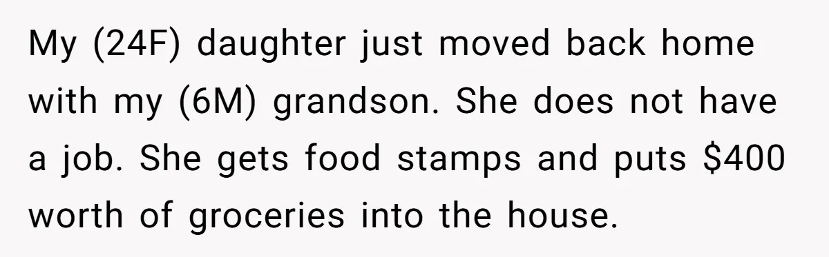 My (24F) daughter just moved back home with my (6M) grandson. She does not have a job. She gets food stamps and puts $400 worth of groceries into the house.