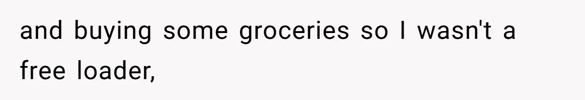 and buying some groceries so I wasn't a free loader,