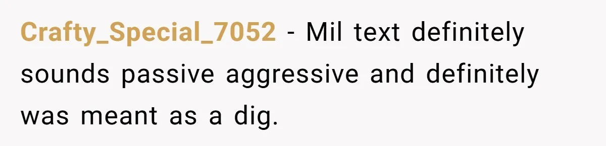 Crafty_Special_7052 − Mil text definitely sounds passive aggressive and definitely was meant as a dig.