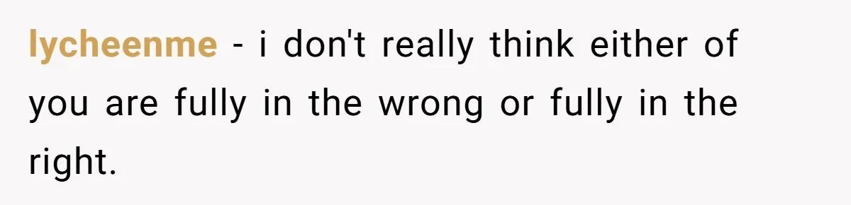 lycheenme − i don't really think either of you are fully in the wrong or fully in the right.