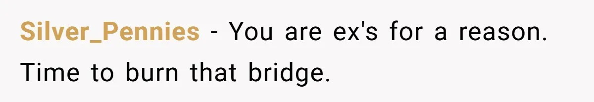 Silver_Pennies − You are ex's for a reason. Time to burn that bridge.