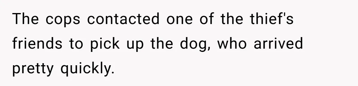 The cops contacted one of the thief's friends to pick up the dog, who arrived pretty quickly.