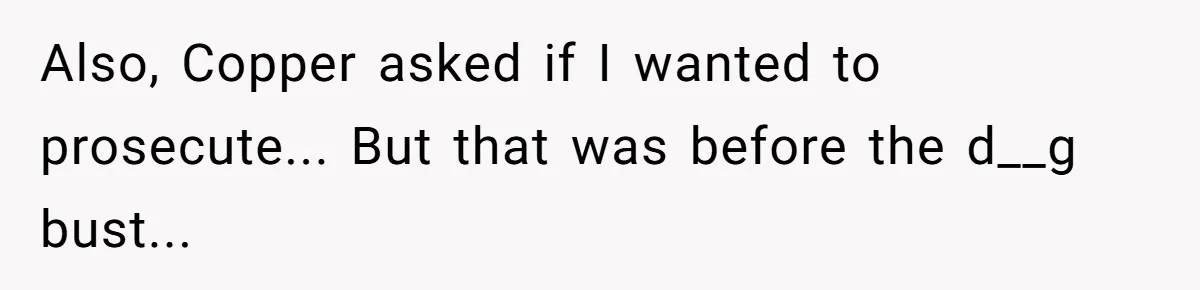 Also, Copper asked if I wanted to prosecute... But that was before the d__g bust...