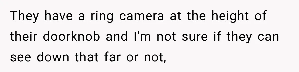 They have a ring camera at the height of their doorknob and I'm not sure if they can see down that far or not,