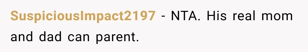 He Removed His Nintendo Account From the Family Switch After His Little Brother Took Over His Profile, and the Family Drama Exploded SuspiciousImpact2197 − NTA. His real mom and dad can parent.