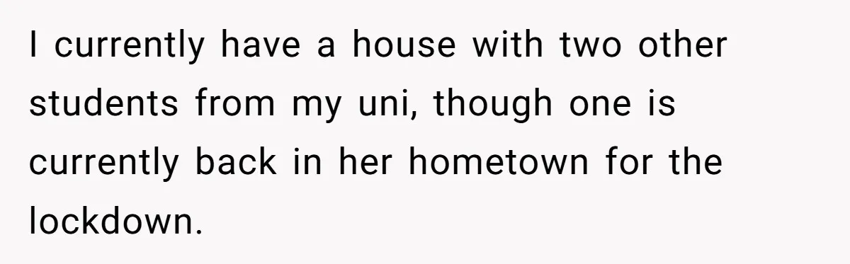I currently have a house with two other students from my uni, though one is currently back in her hometown for the lockdown.