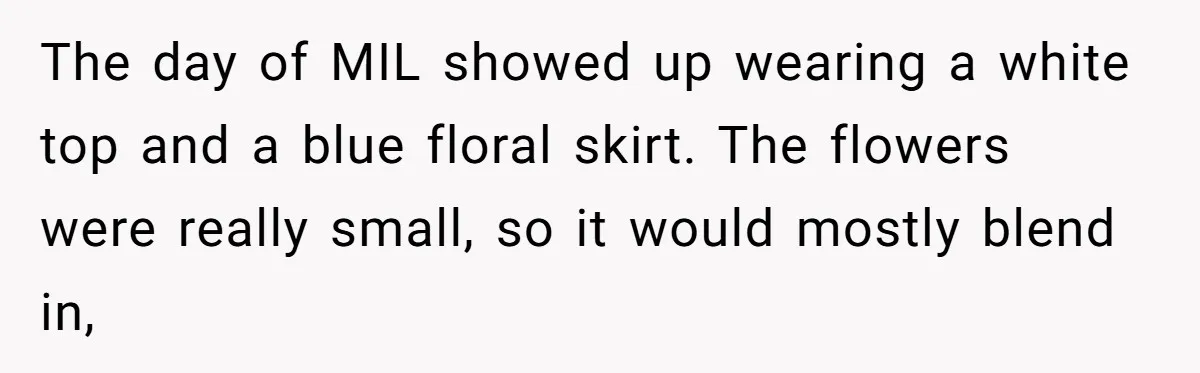 The day of MIL showed up wearing a white top and a blue floral skirt. The flowers were really small, so it would mostly blend in,