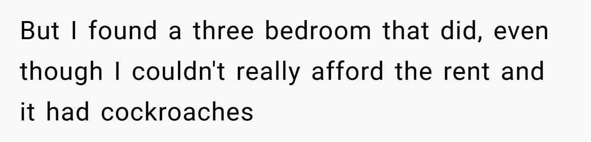 But I found a three bedroom that did, even though I couldn't really afford the rent and it had cockroaches