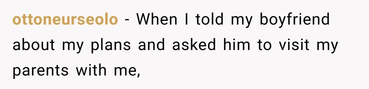ottoneurseolo − When I told my boyfriend about my plans and asked him to visit my parents with me,